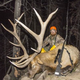 Illustration for article titled Adam LaRoche Kills A Giant Elk; Dan Haren Is Bummed About It